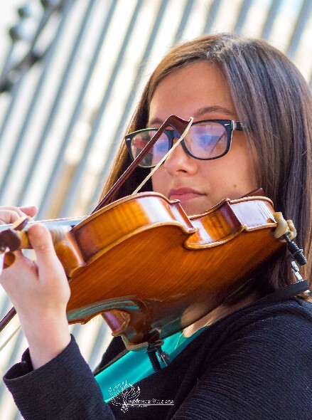 Lezioni di Violino